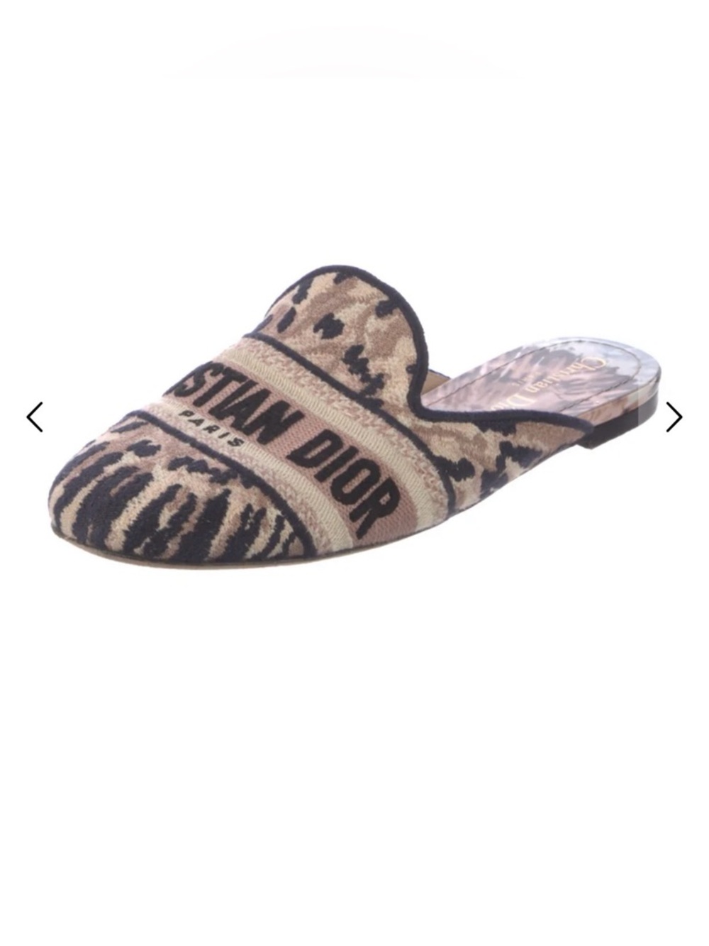 Christian Dior Canvas Printed Mules - Size 7